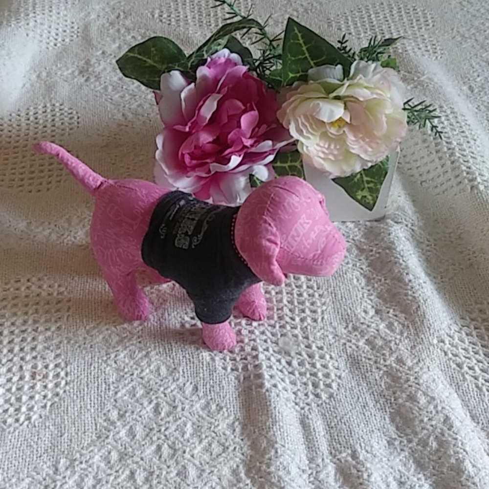 Pink vs dog